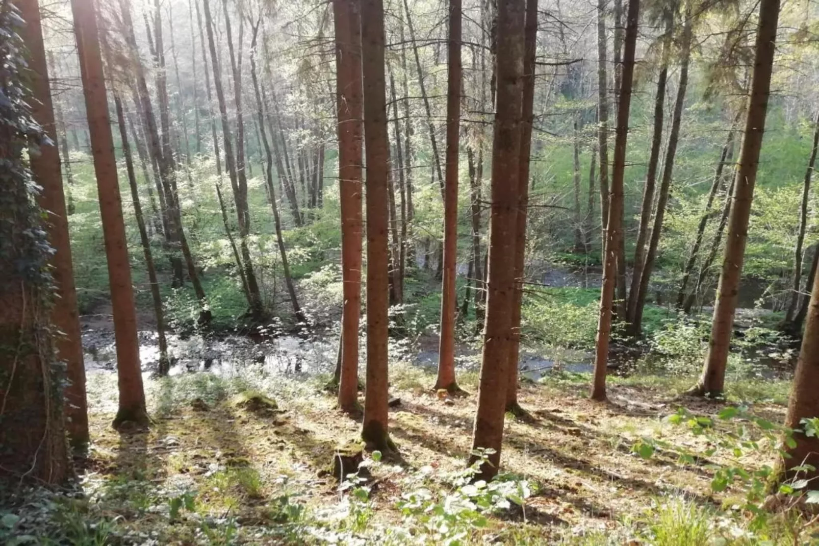 Les Sittelles-Gebieden zomer 20km