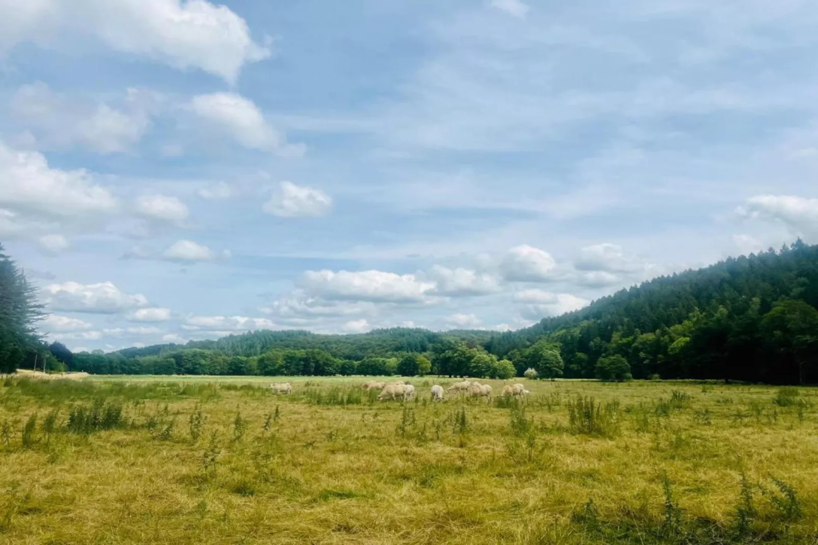 La Conciergerie-Gebieden zomer 20km