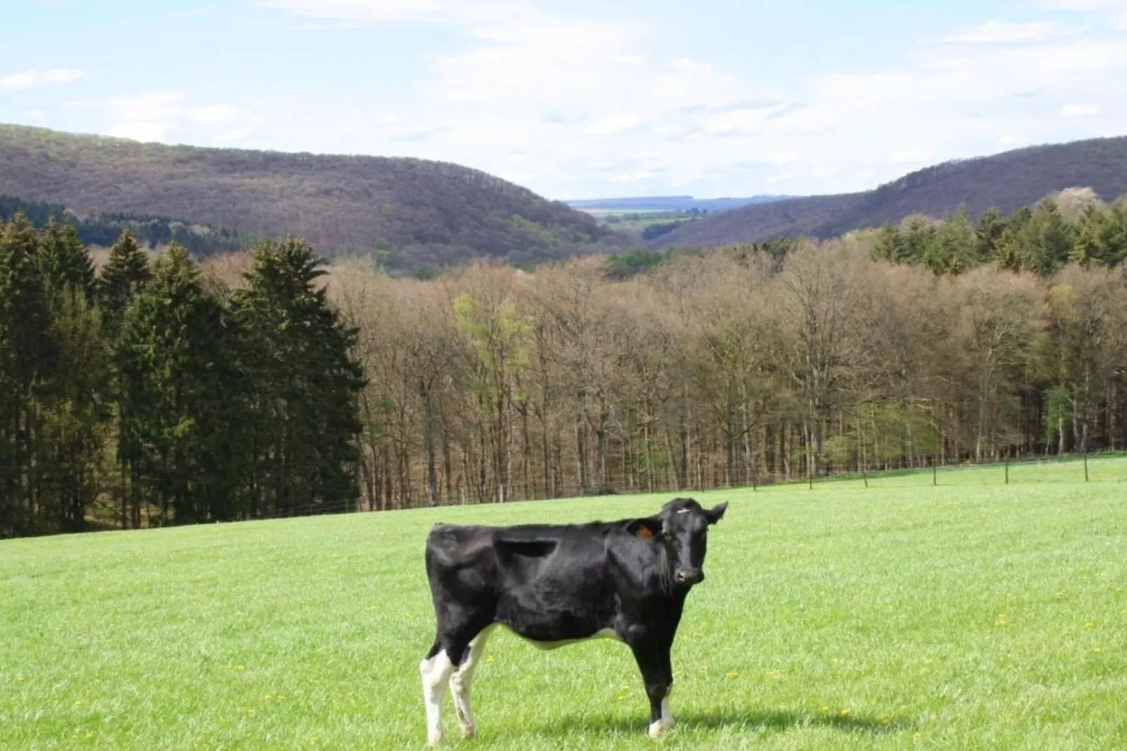 Camping Petite Suisse 2-Gebieden zomer 5km