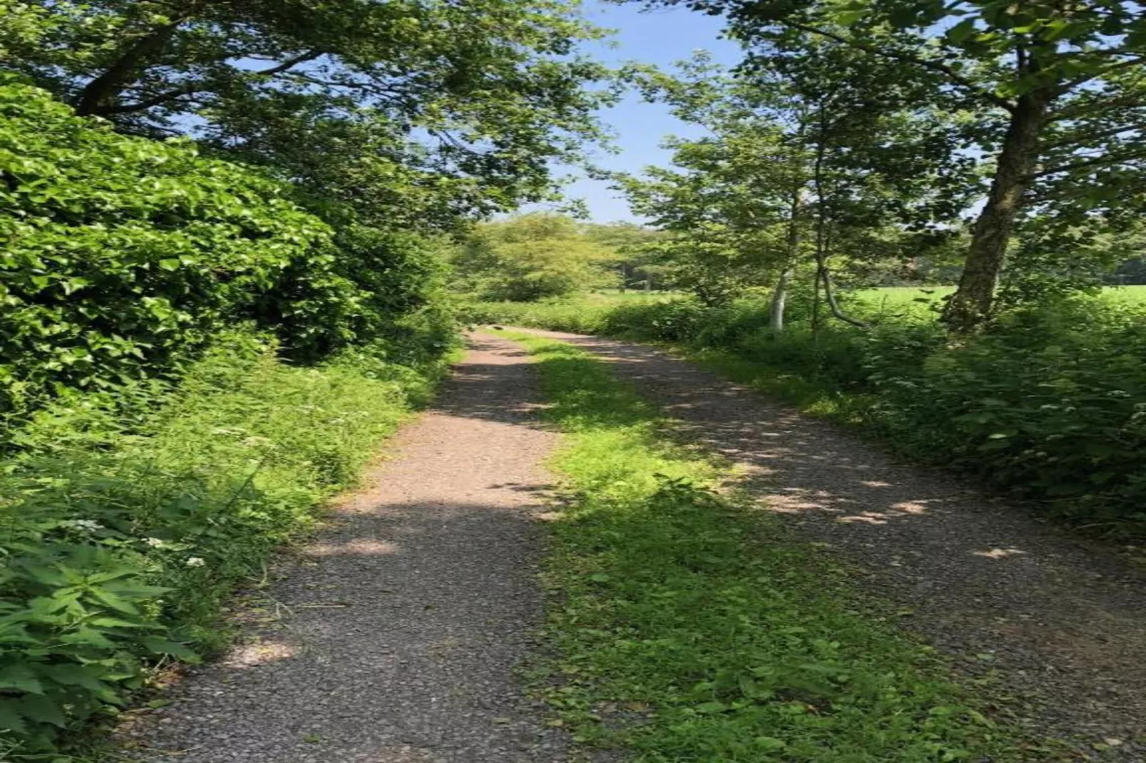 Casteeldoorn-Gebieden zomer 20km
