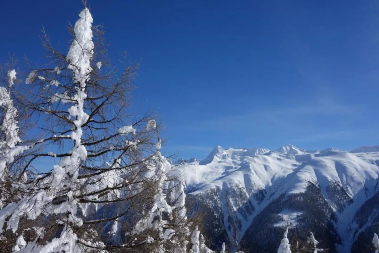Bel Air-Gebied winter 5km