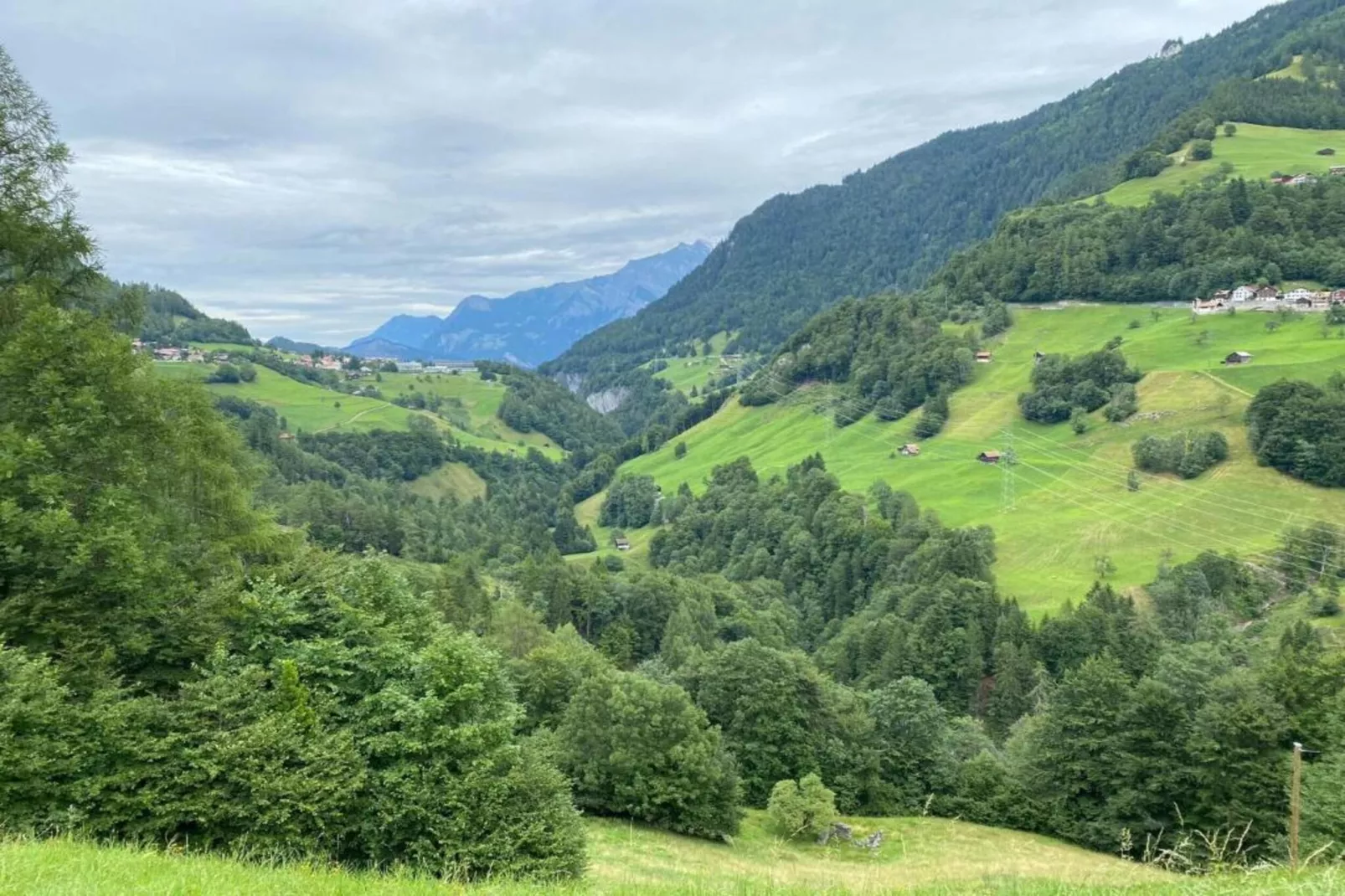 Haus Lerch-Gebieden zomer 5km