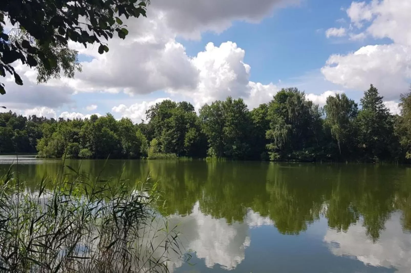 Komfortable Familienwohnung 2-Gebieden zomer 20km