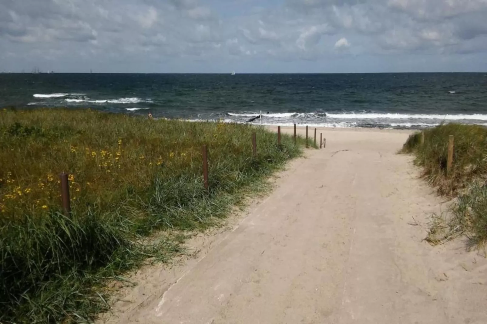 Kobaltblume-Gebieden zomer 20km