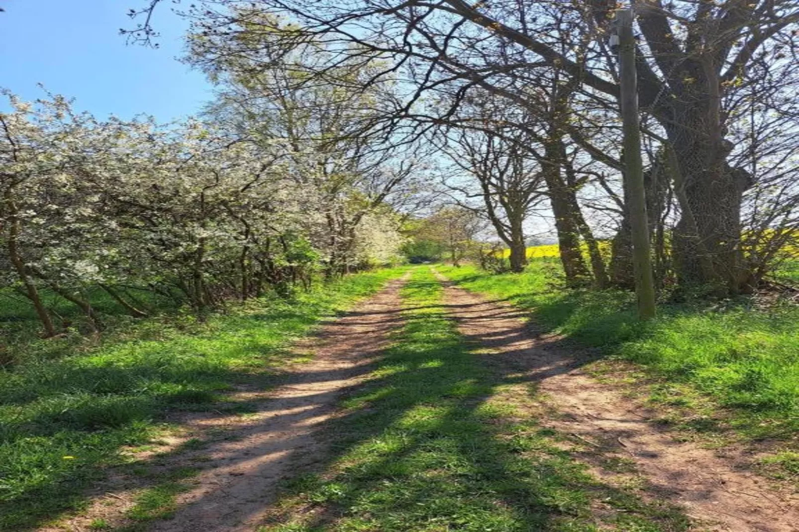 Schöne Aussichten Gerdshagen-Gebieden zomer 20km