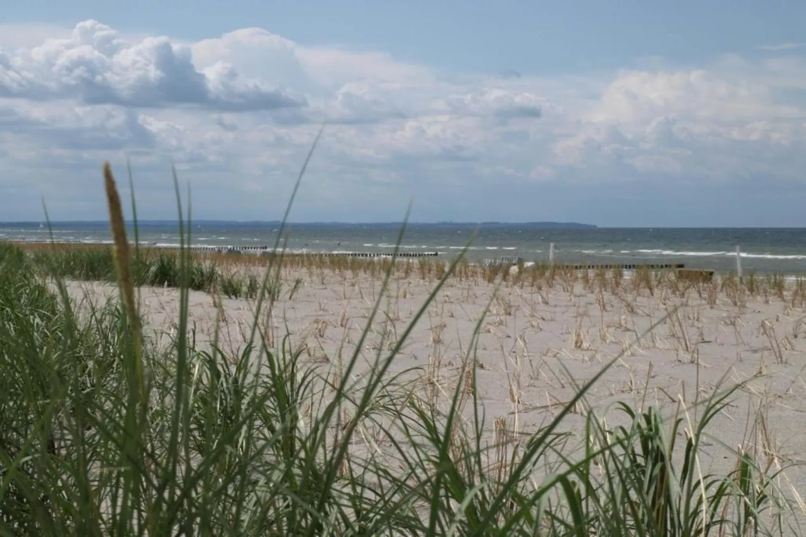 Bungalow Im Krabbenweg-Gebieden zomer 5km