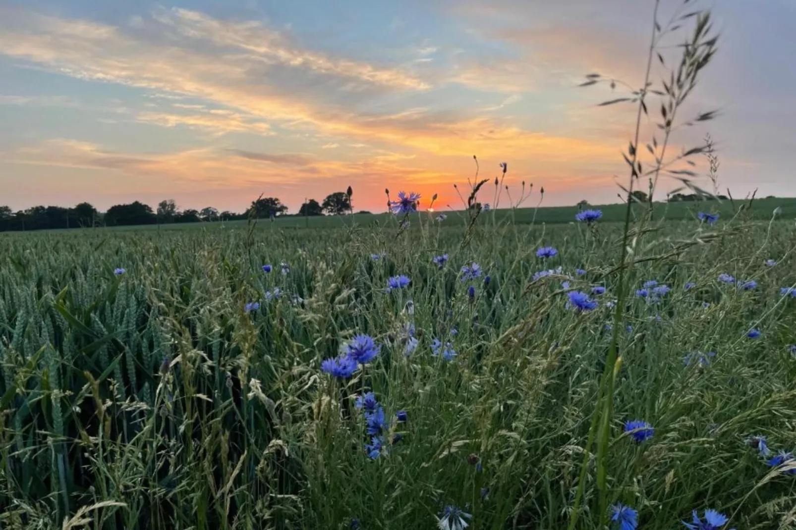Ferienwohnung Erdgeschoss Weitblick I-Gebieden zomer 20km