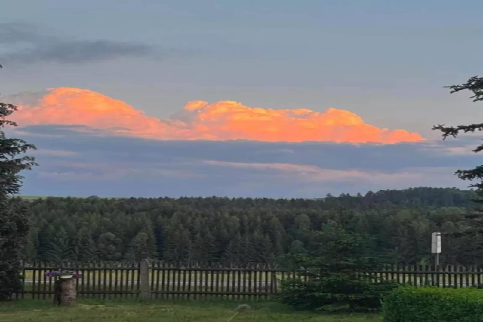 Friedrichshöhe-Gebieden zomer 5km