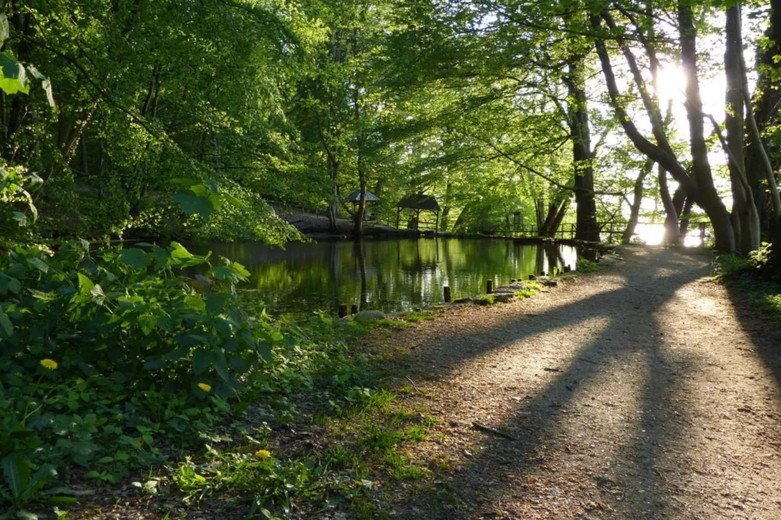 Mühle mit Charme-Gebieden zomer 20km