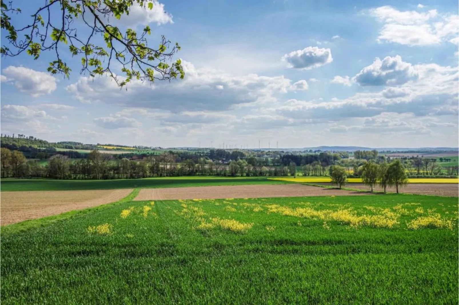 Feriendorf Natur pur 2-Gebieden zomer 20km