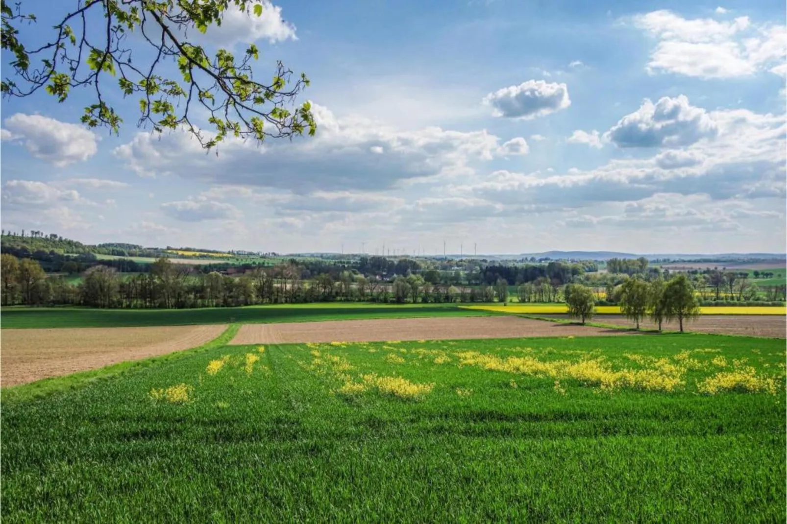 Feriendorf Natur pur 4-Gebieden zomer 20km
