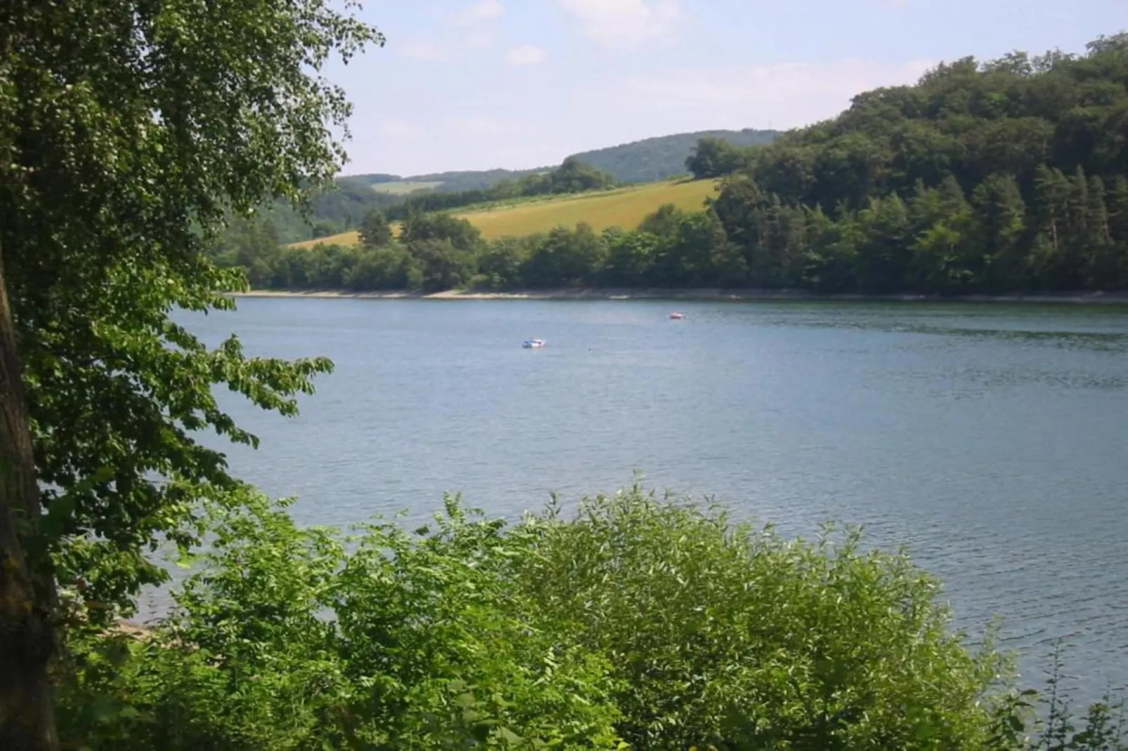 Am Weiher-Gebieden zomer 5km
