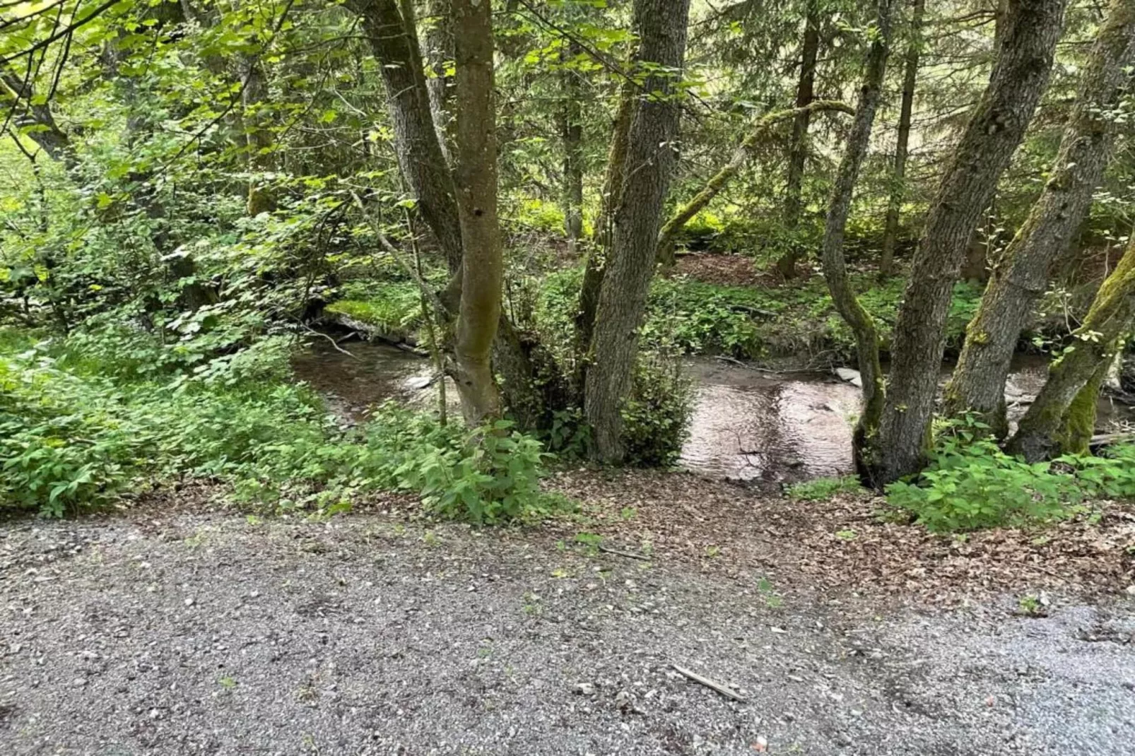 Barbara-Gebieden zomer 20km