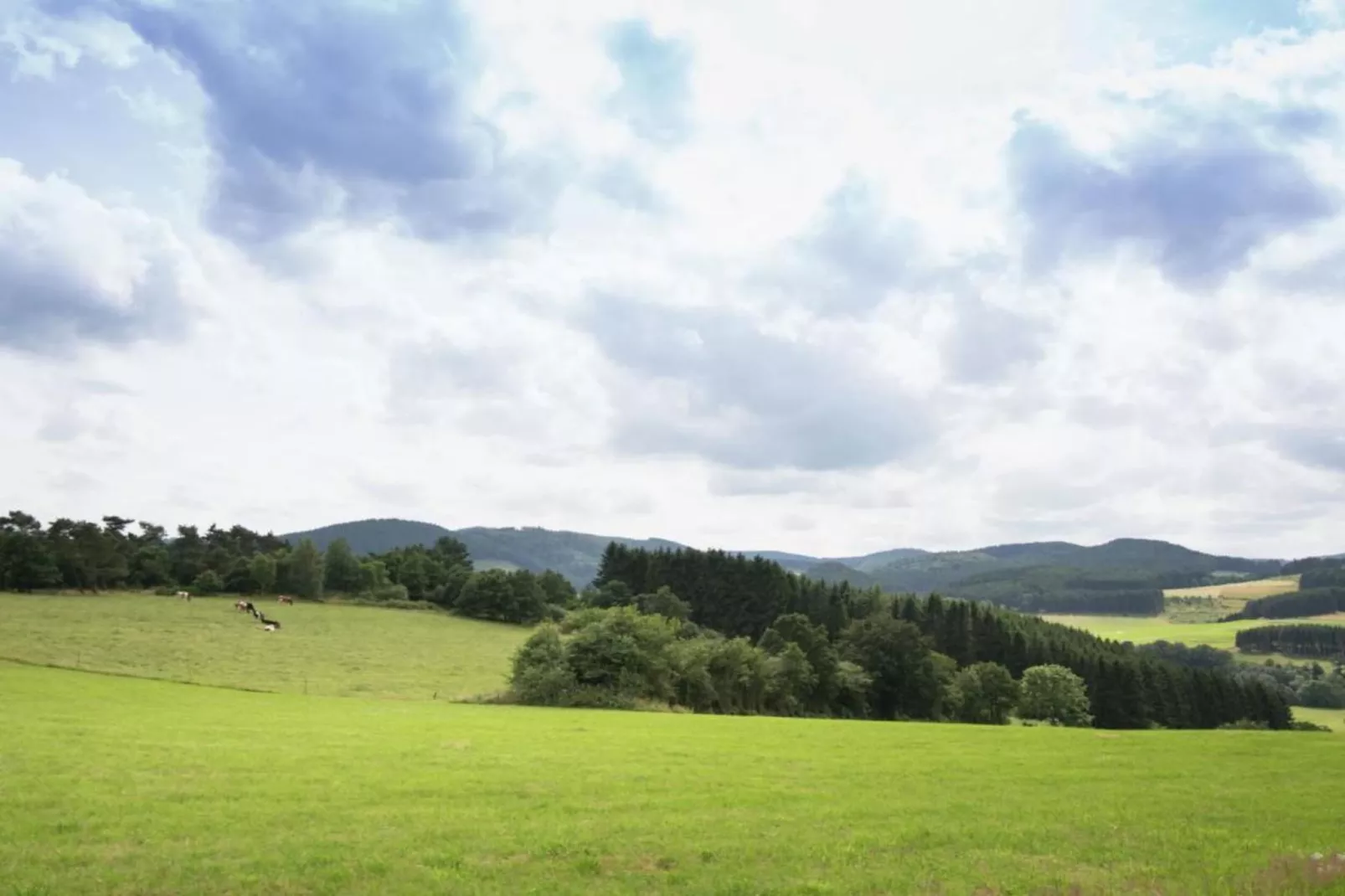 Villa Türmchen-Gebieden zomer 5km