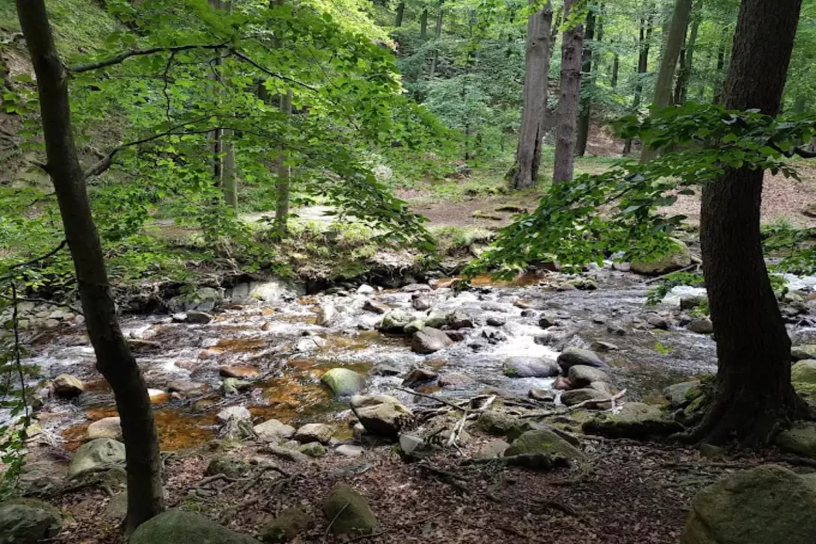 Haus Buchberg-Gebieden zomer 1km