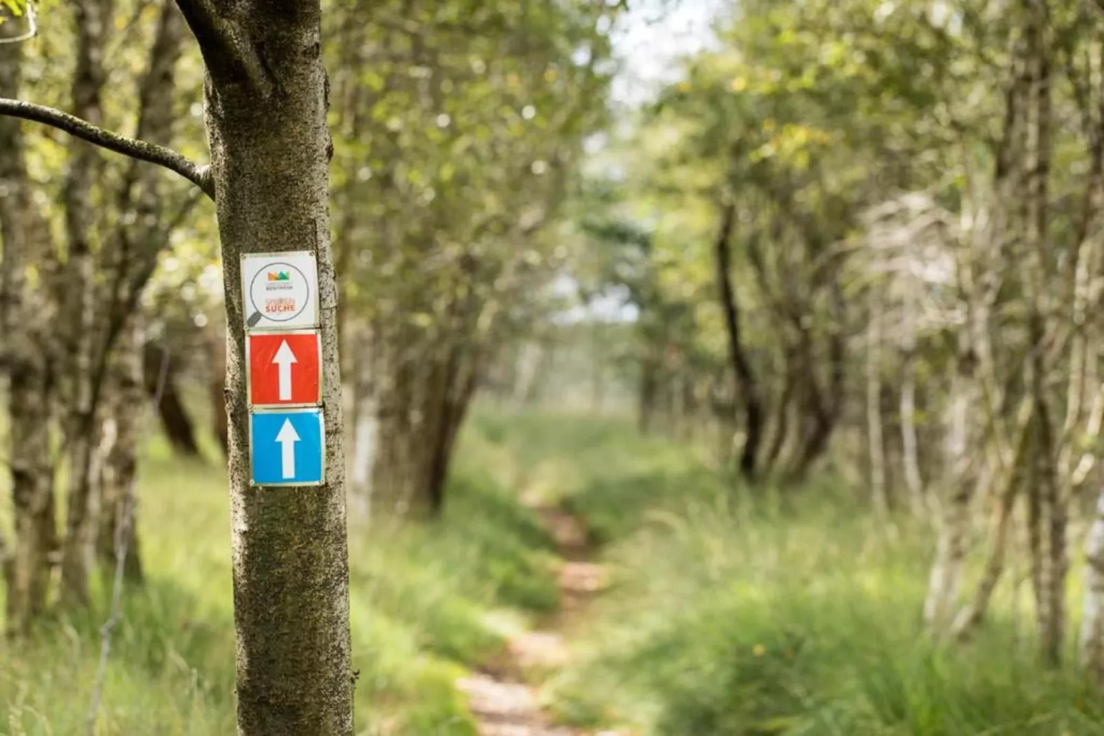 Ferienresort Bad Bentheim 9-Gebieden zomer 20km