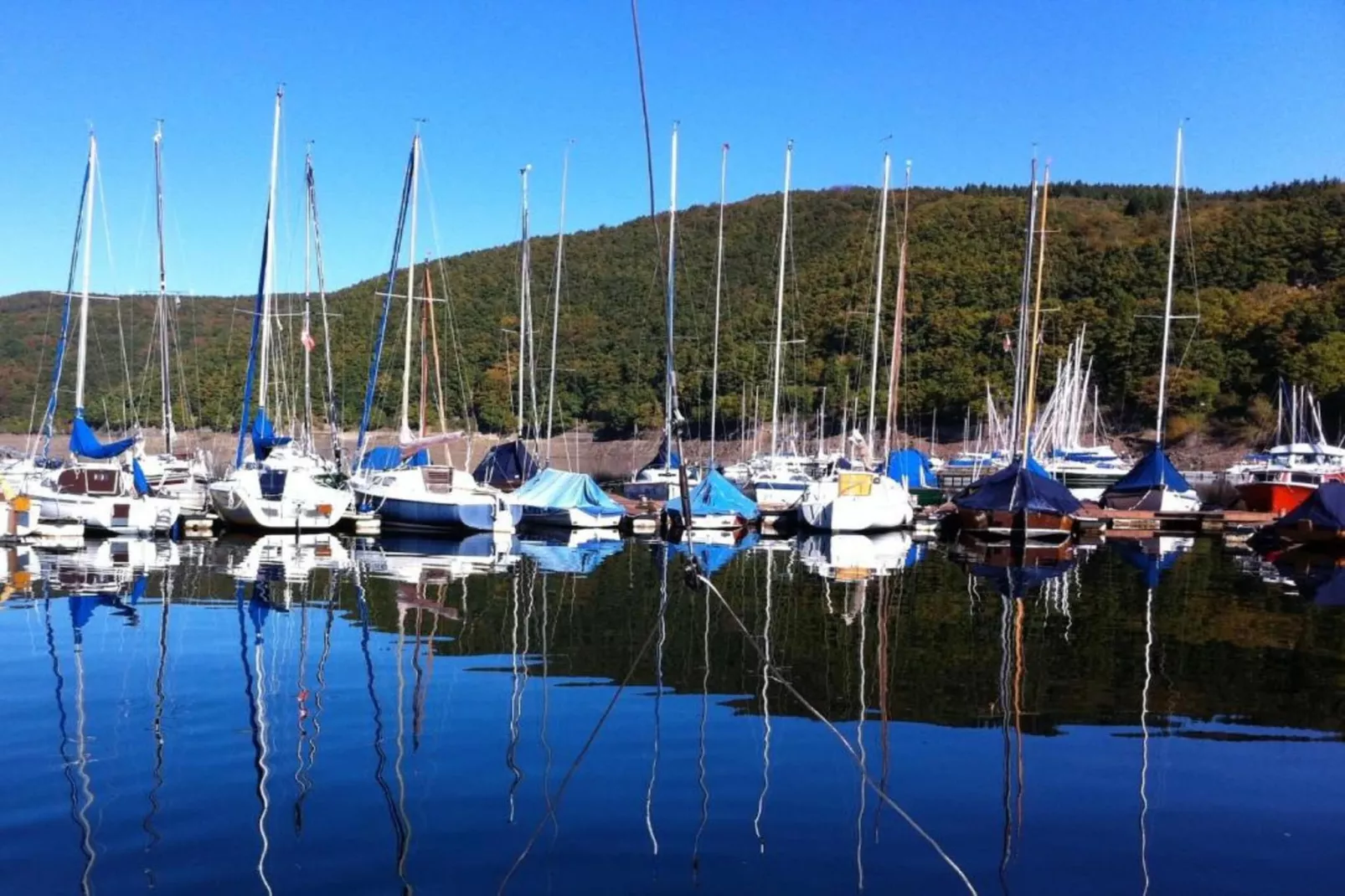 Resort Eifeler Tor 3-Gebieden zomer 5km