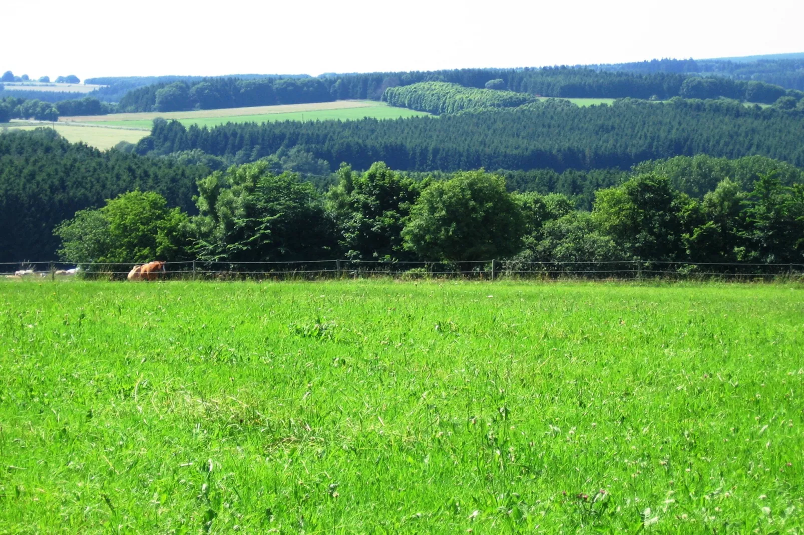 An den Wiesen-Sfeer