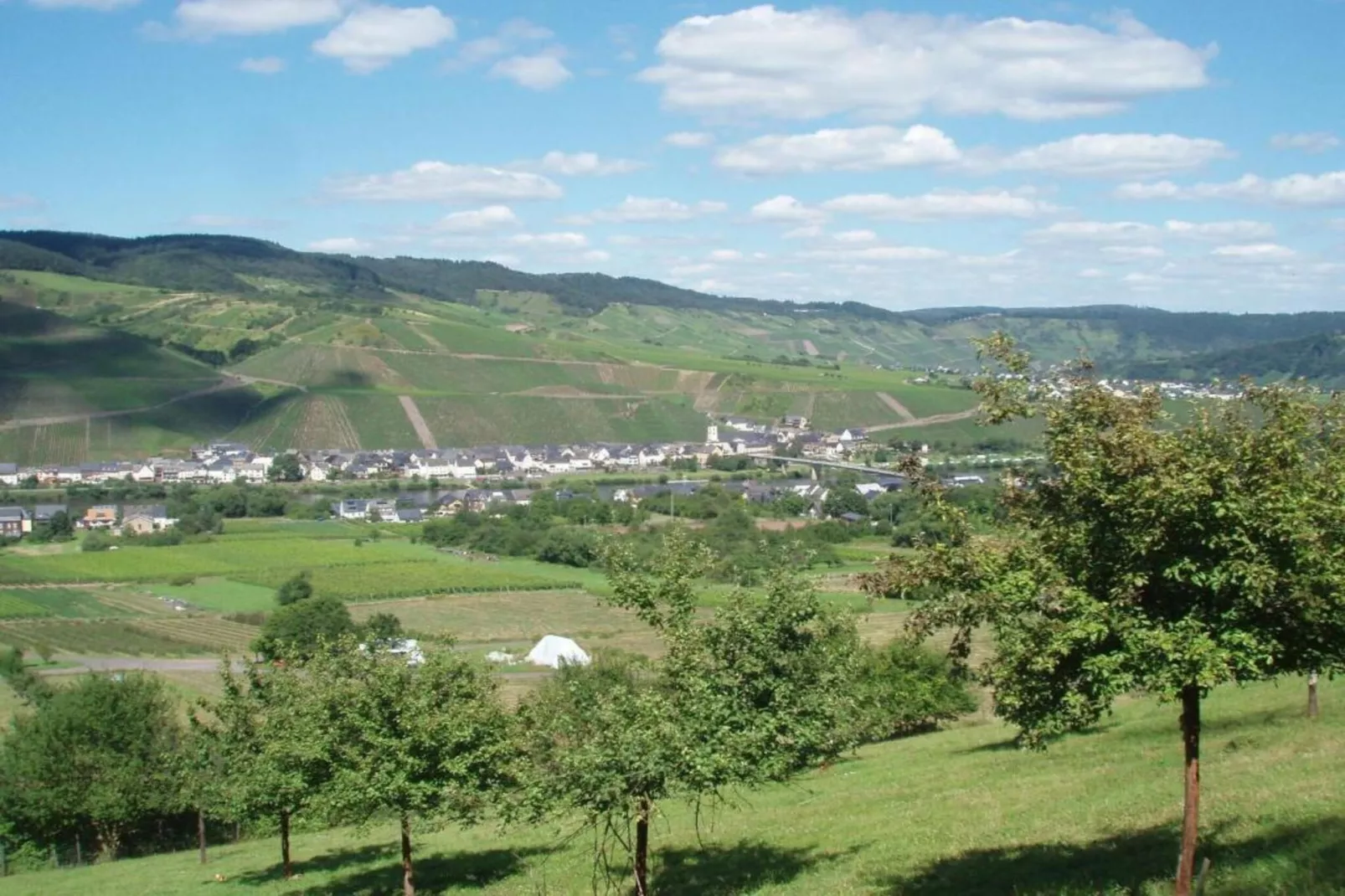 Weingut Justen-Kiebel-Gebieden zomer 20km