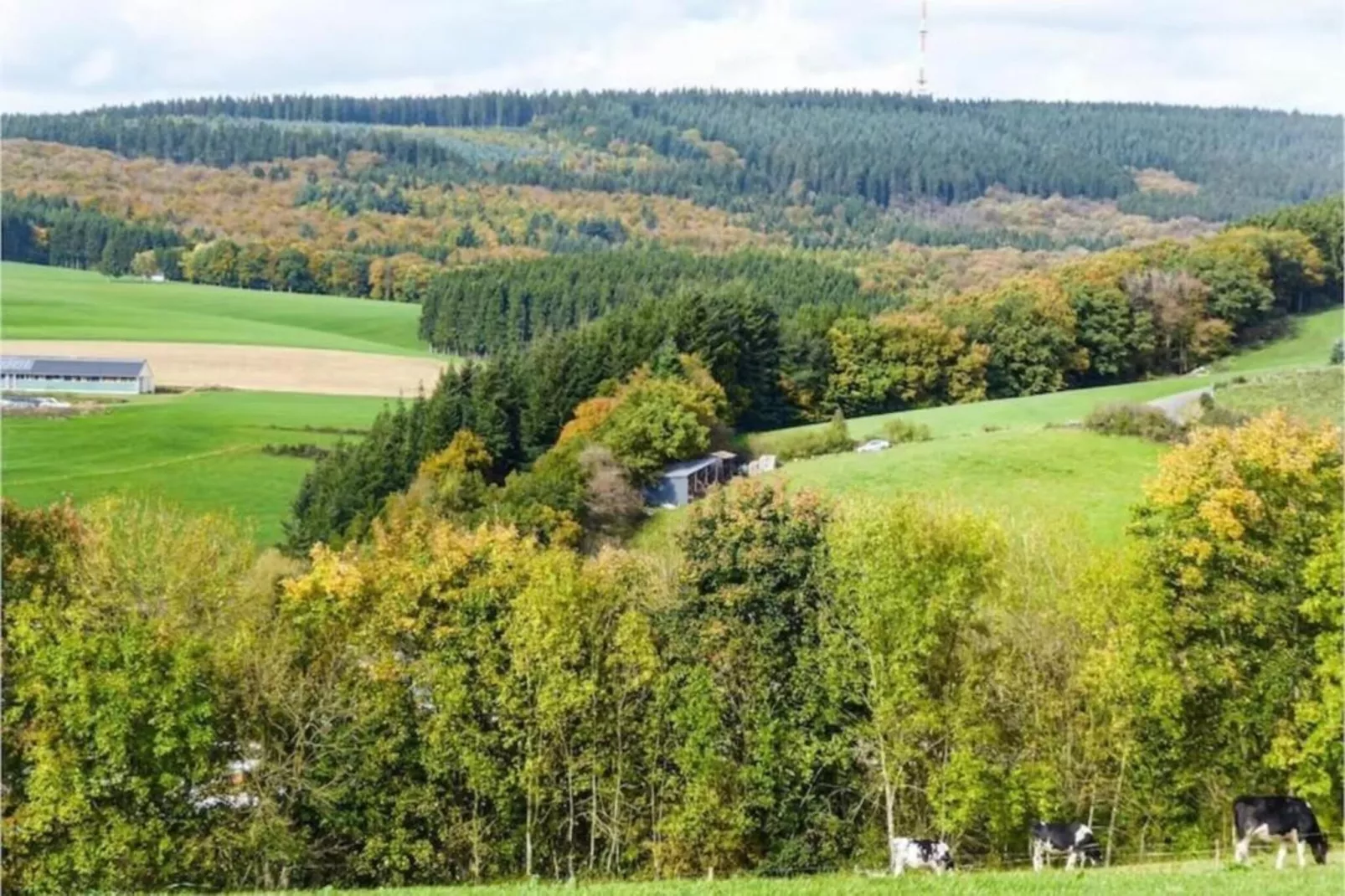 Feinen-Steils-Gebieden zomer 20km