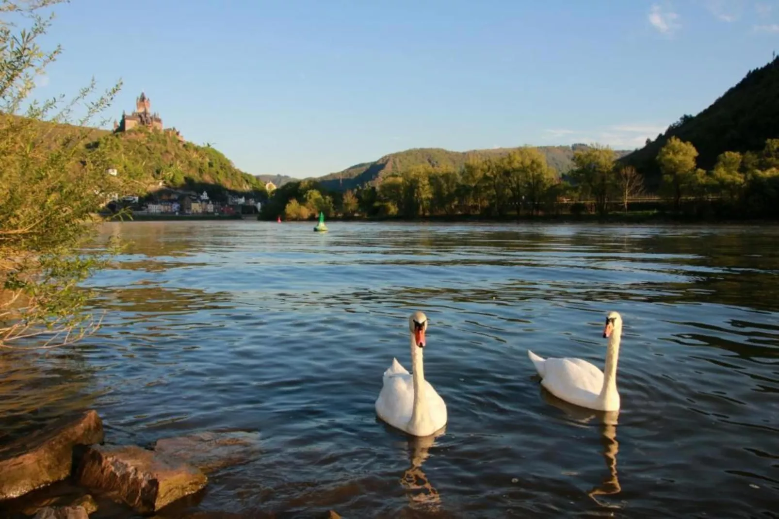 Ferienresort Cochem 30-Gebieden zomer 20km