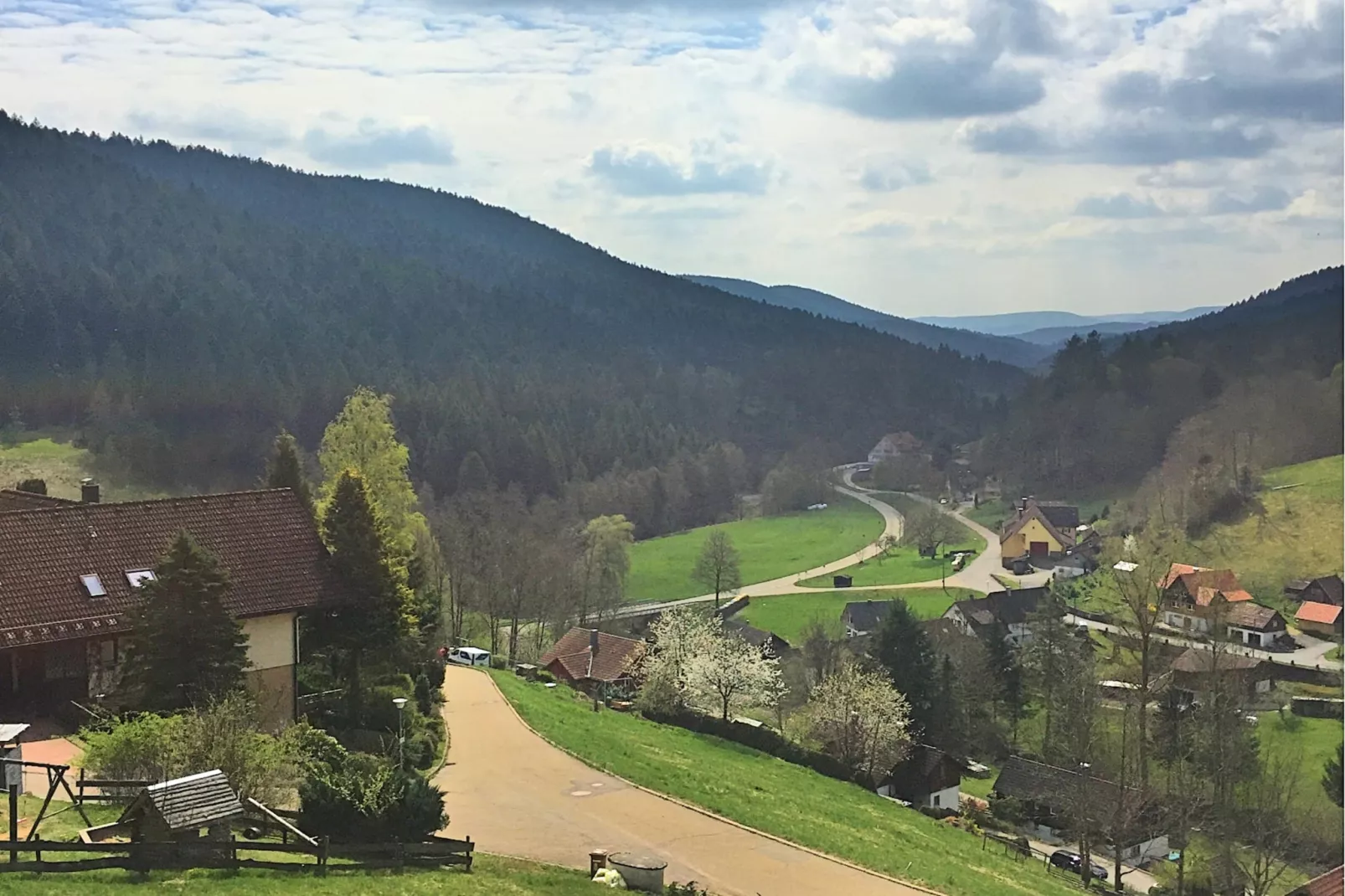 Schwarzwald-Uitzicht zomer