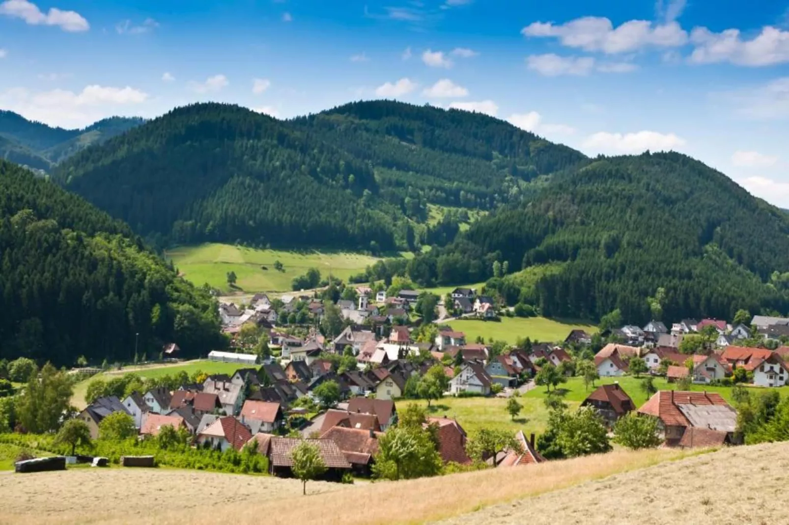 Schwarzwald - Gummenstein-Gebieden zomer 20km
