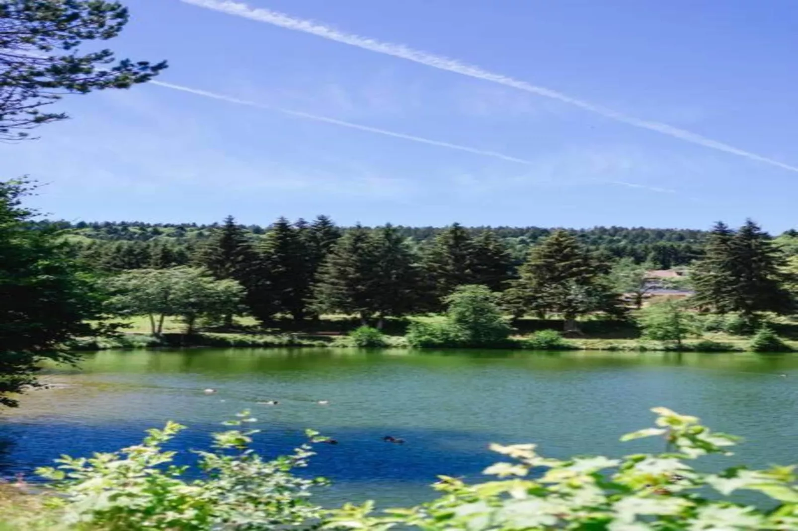 Bernau-Gebieden zomer 20km