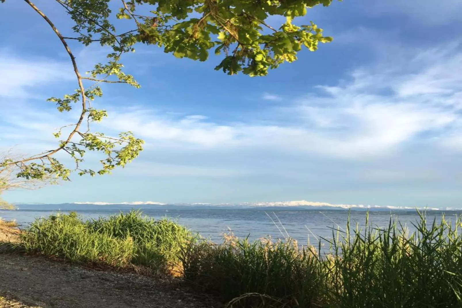 Am Bodensee-Gebieden zomer 20km