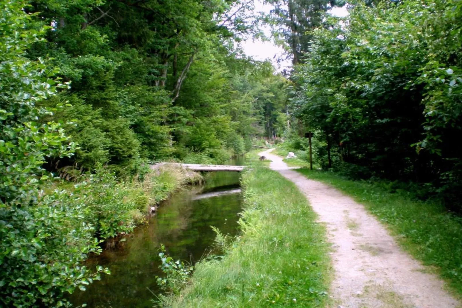 Vakantiepark Jägerwiesen 1-Gebieden zomer 20km