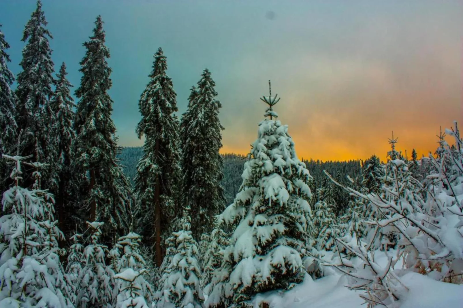 Bayerwald-Gebied winter 20km