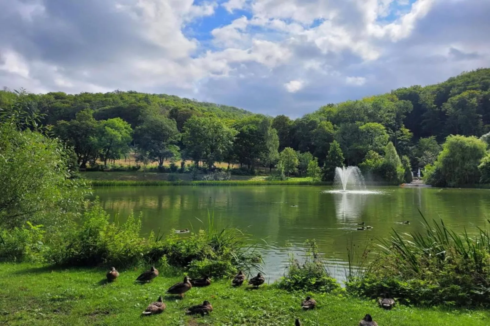 Neustadt 1-Gebieden zomer 5km