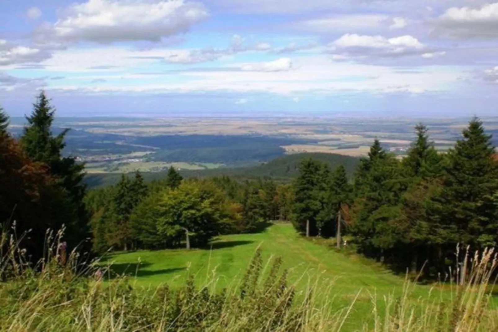 Schwarzhausen-Gebieden zomer 5km