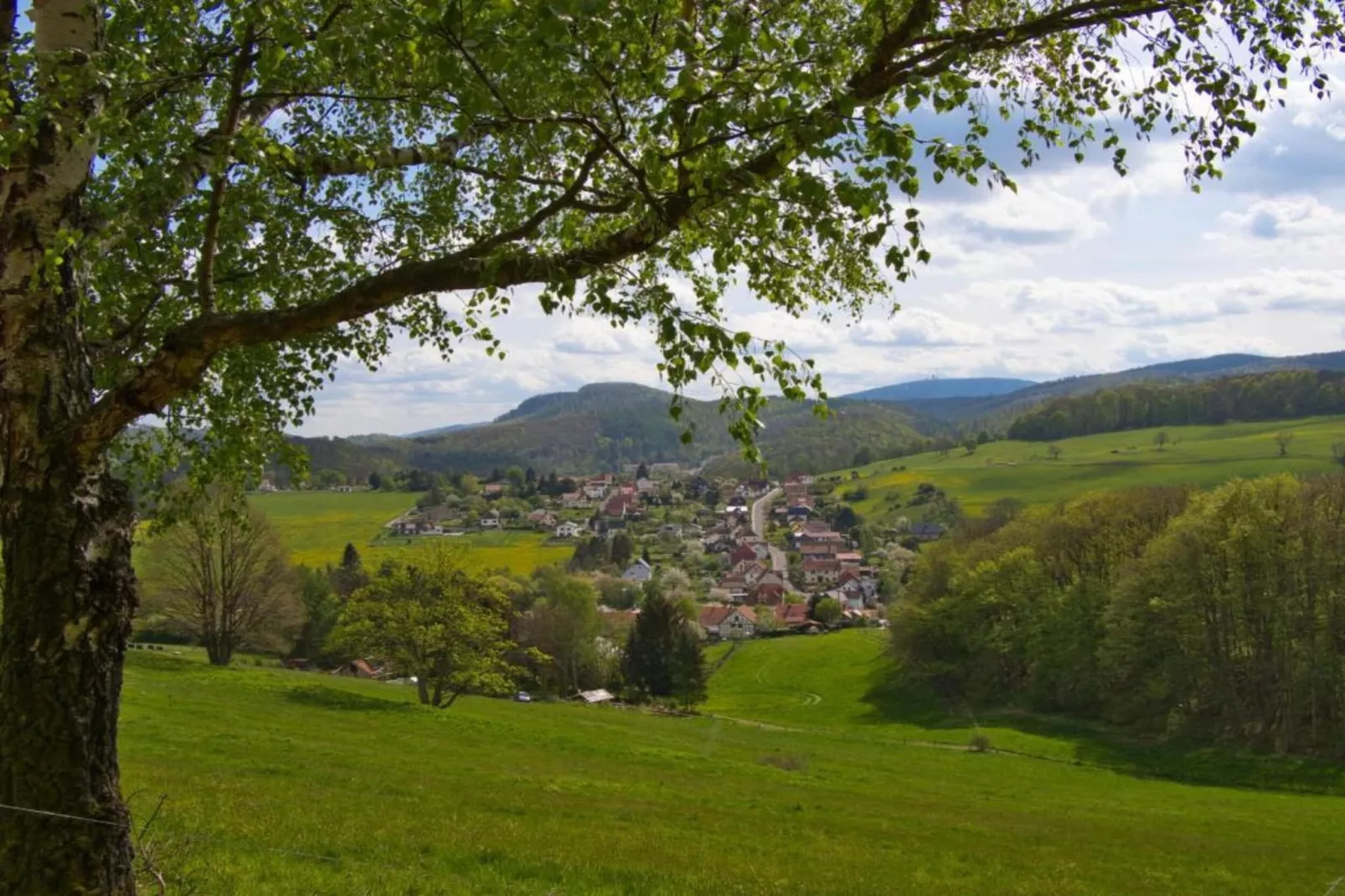 Mosbach-Gebieden zomer 5km