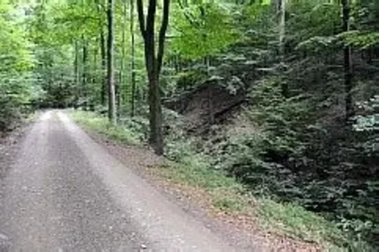 Ferienhaus in Wieda-Gebieden zomer 5km