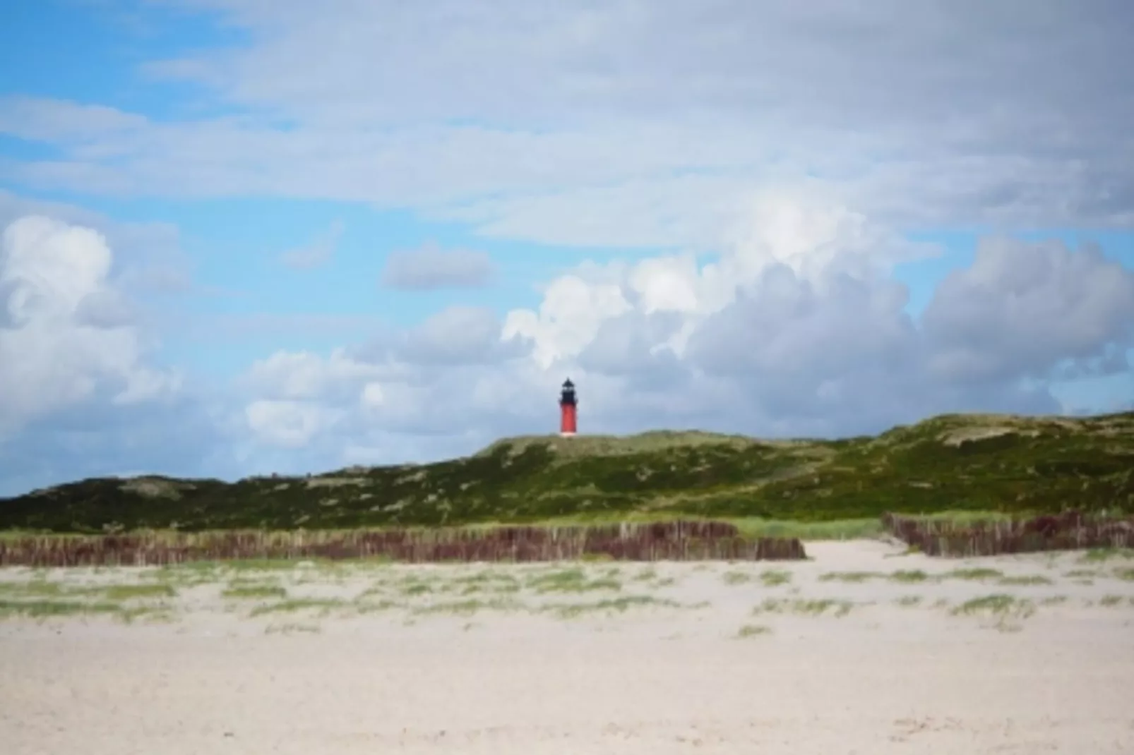 Ferienwohnung in Wyk auf Föhr - Sturmmöwe 4 Pers-Gebieden zomer 5km