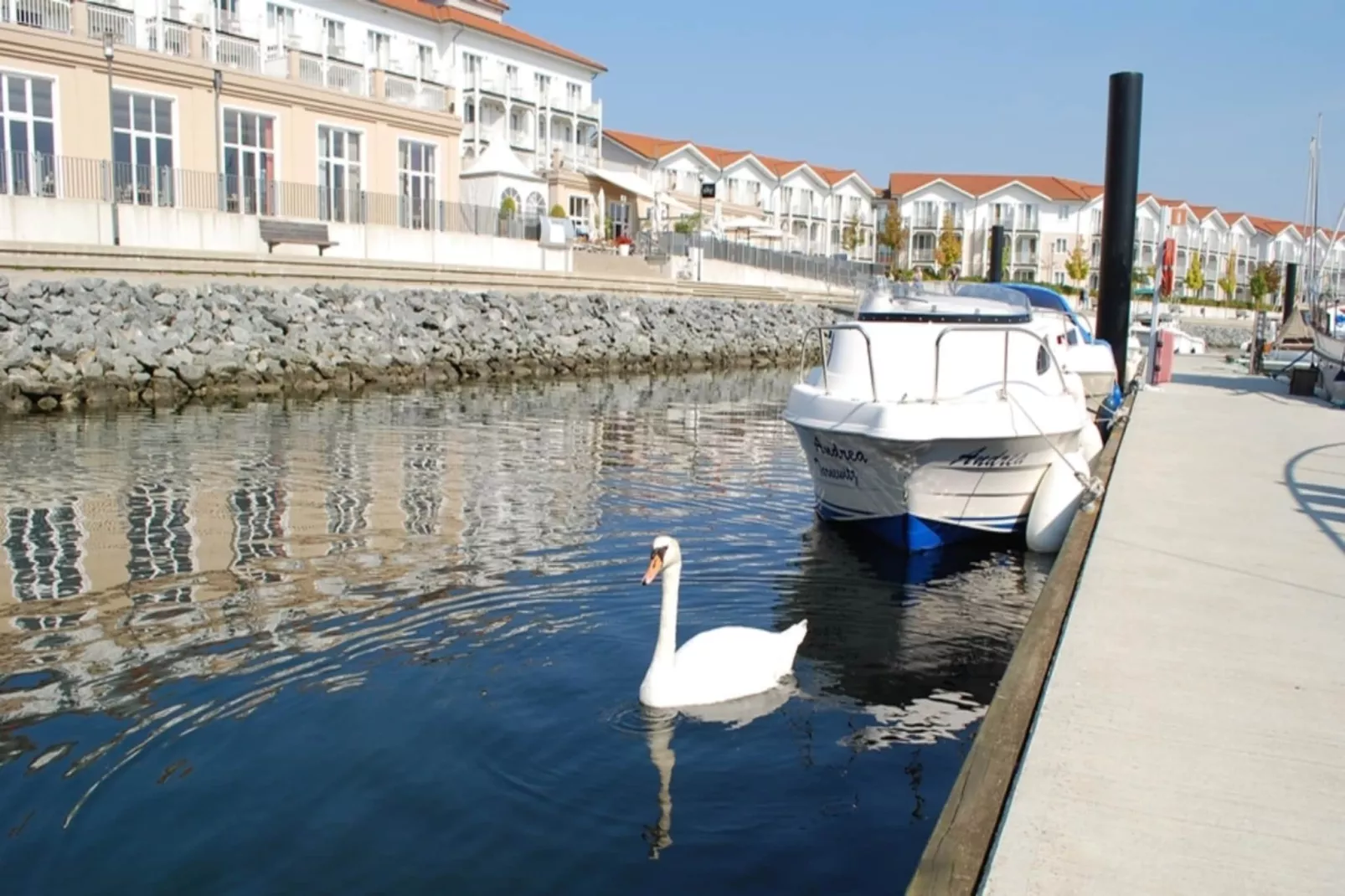 BEECH Resort Boltenhagen - Typ 3-Gebieden zomer 5km