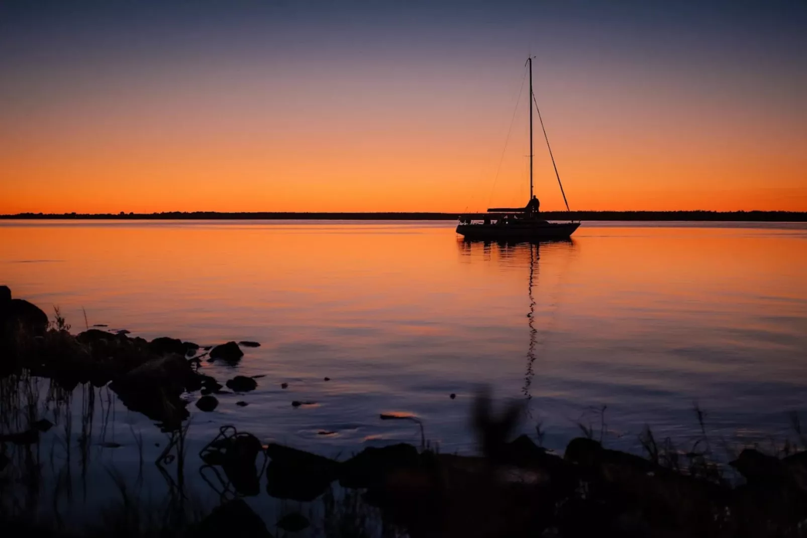 Schilfrohrsänger 51-Gebieden zomer 1km