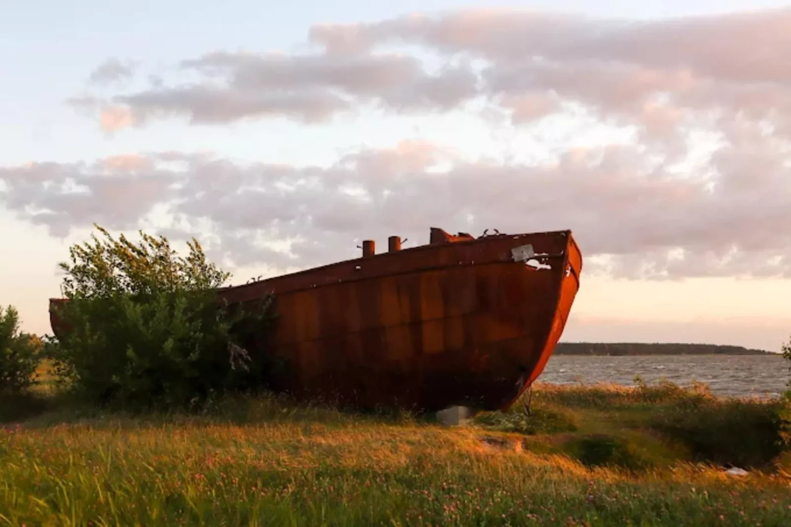 Haubenlerche 14-Gebieden zomer 5km