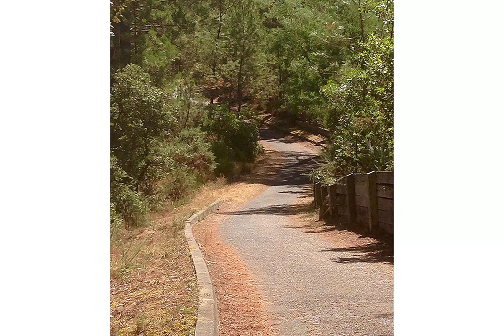 Clos les Pins-Gebieden zomer 1km