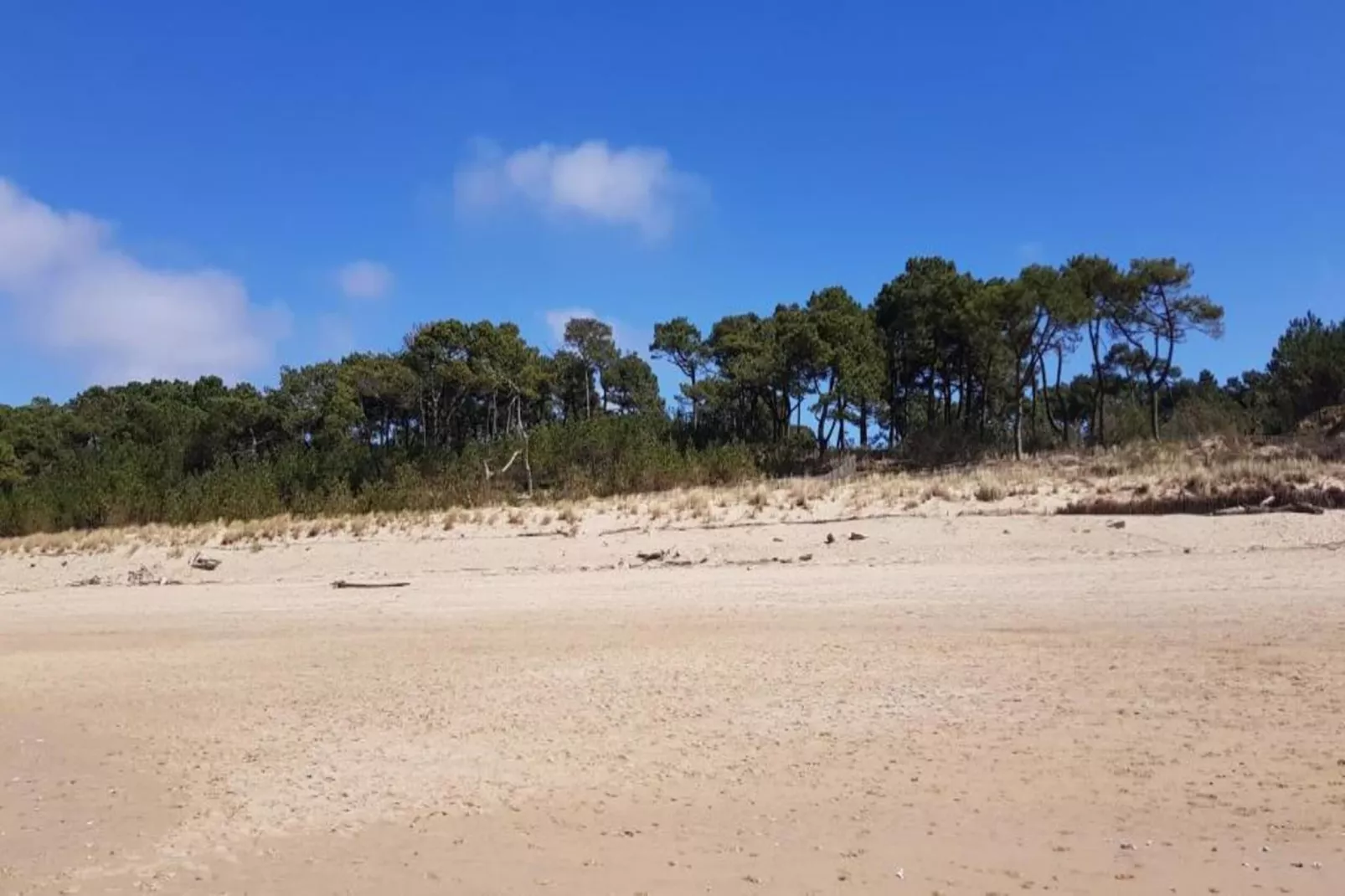 Maison de vacances Salles de Belvès-Gebieden zomer 20km