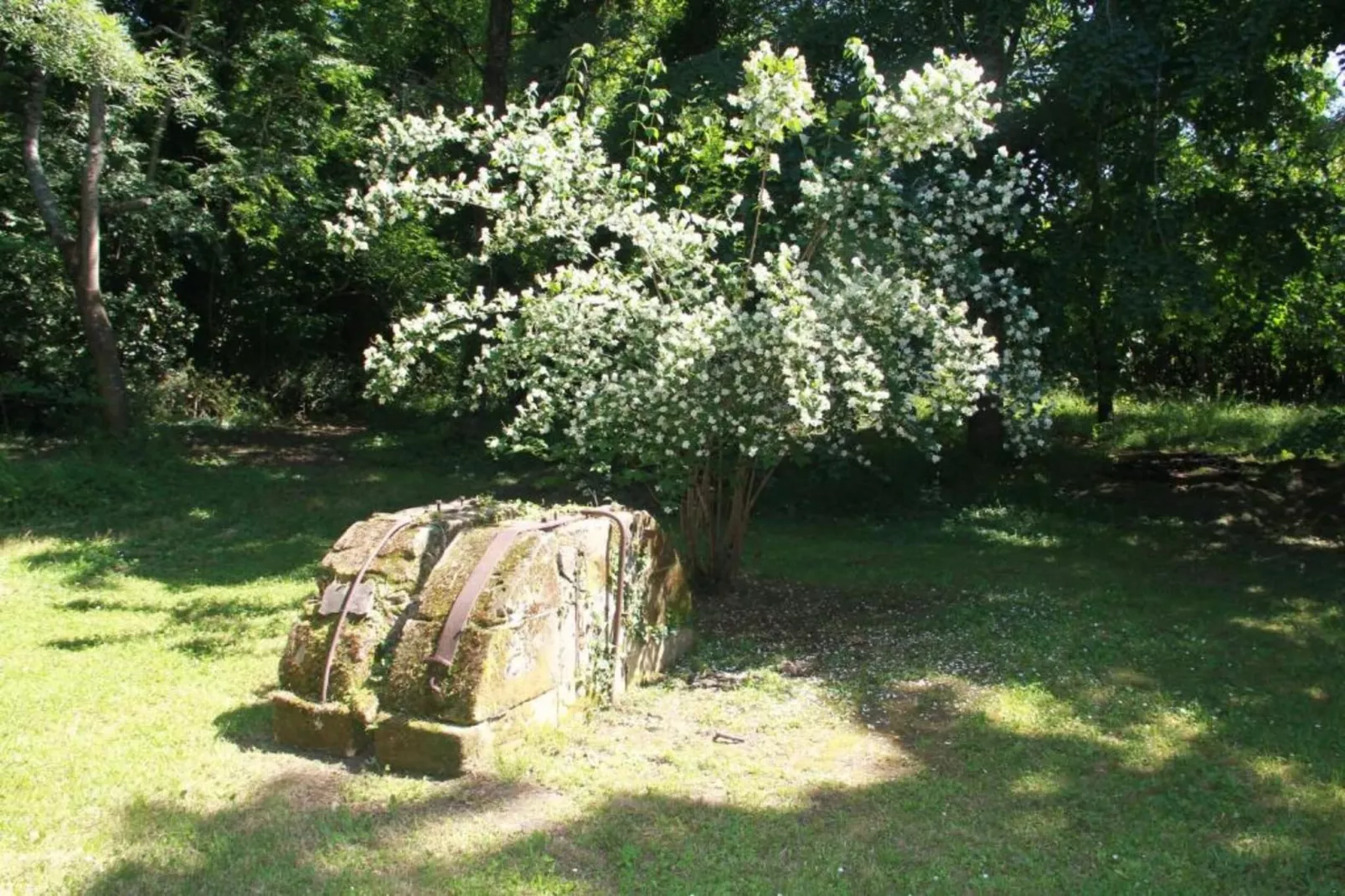 Les Bastides de Lascaux 1-Gebieden zomer 20km