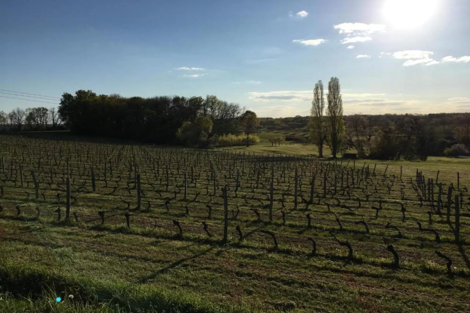 Maison de vacances Saint Nexans 4 p-Gebieden zomer 20km