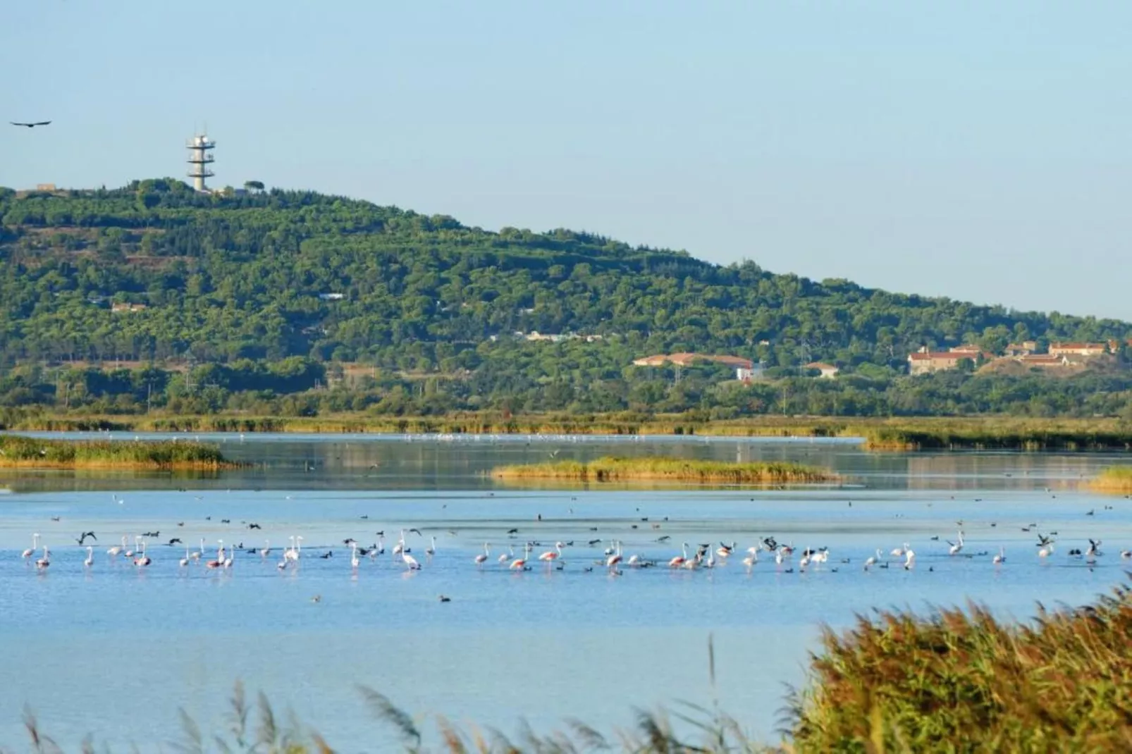 Appart'hôtel Prestige Nakâra 6-Gebieden zomer 20km