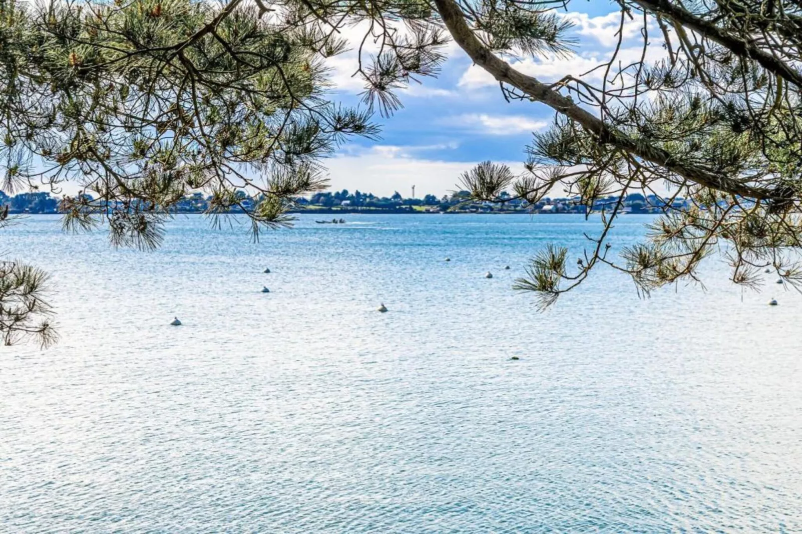 Les Iles du Morbihan 1-Gebieden zomer 5km