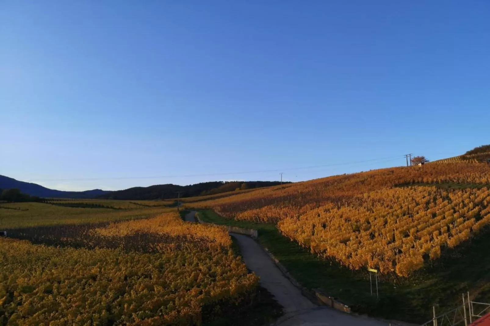 Le Domaine des Rois 2-Gebieden zomer 5km
