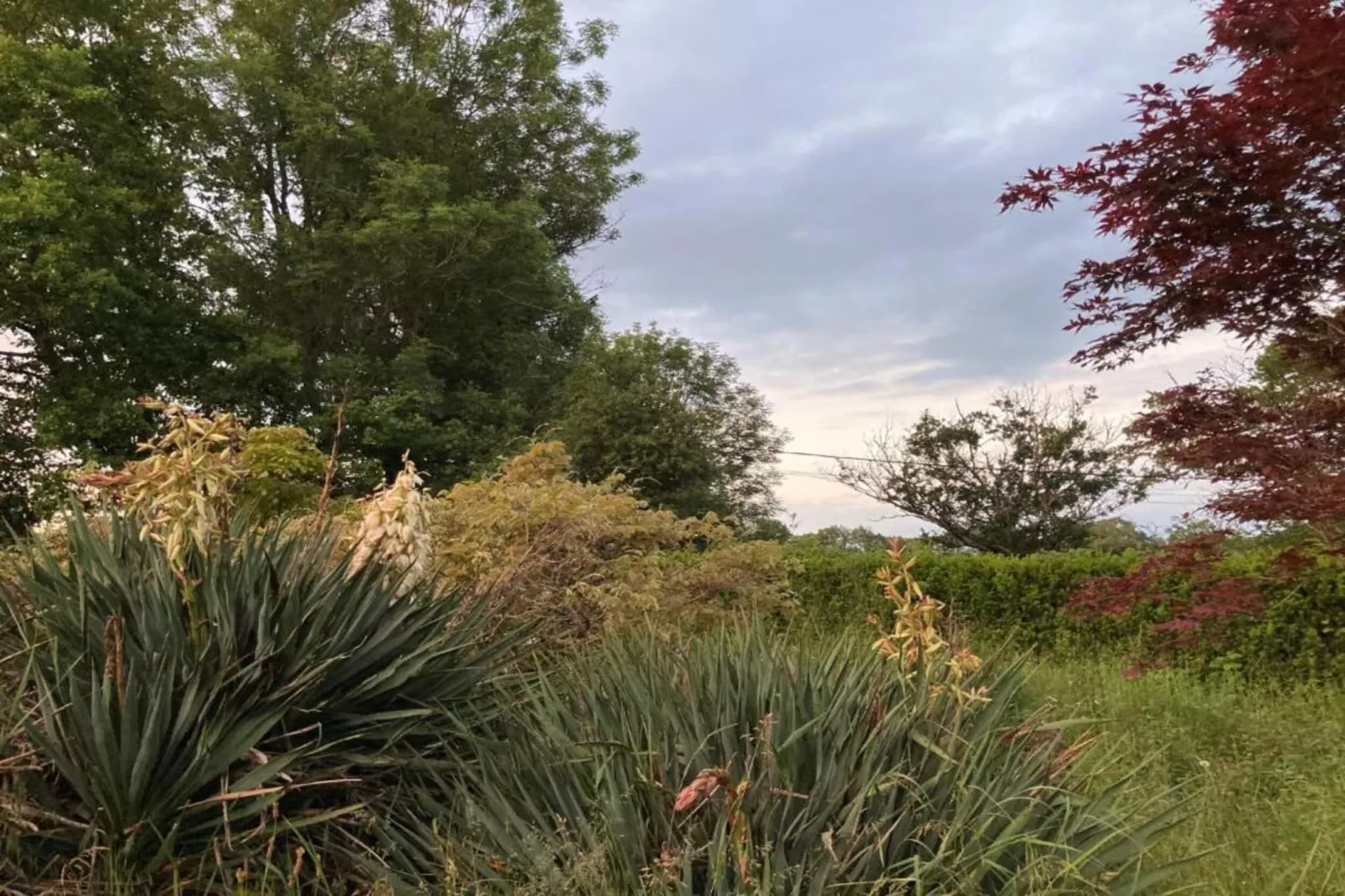 Apt 5 pers piscine partagée -  Jessica-Gebieden zomer 20km