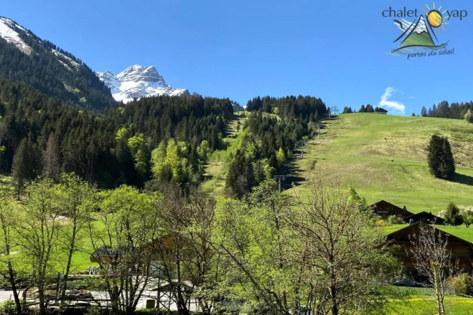 Chalet Sherwood Forest-Gebieden zomer 20km
