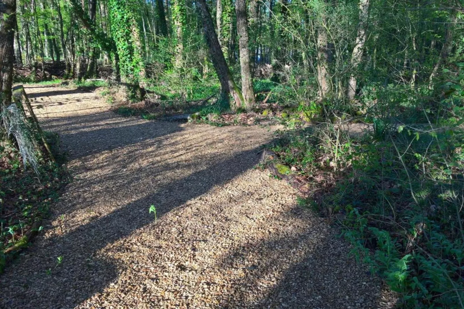FranceComfort Domaine Les Forges 3-Gebieden zomer 20km
