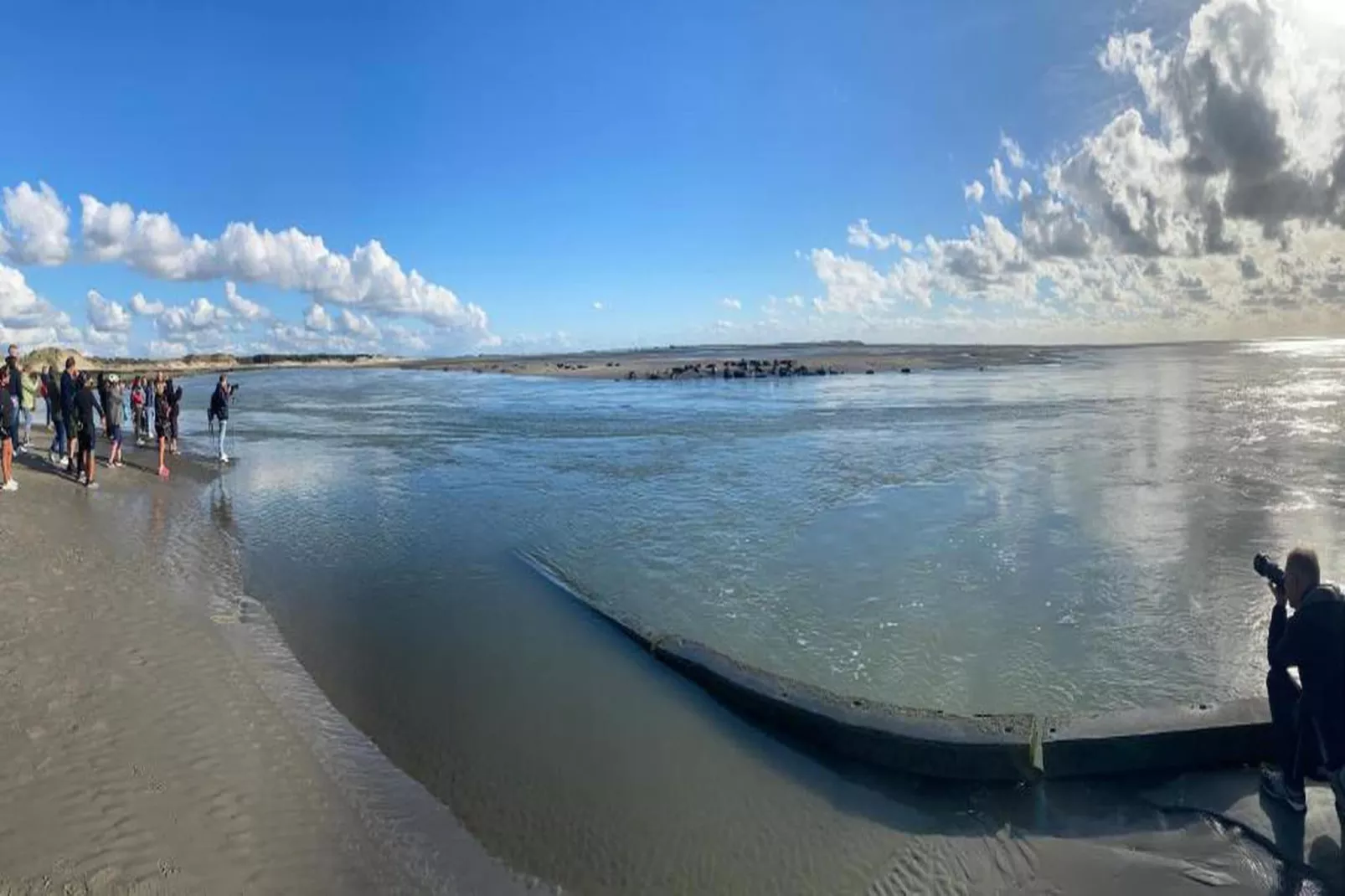 Résidence les Villas de la Baie 1-Gebieden zomer 20km